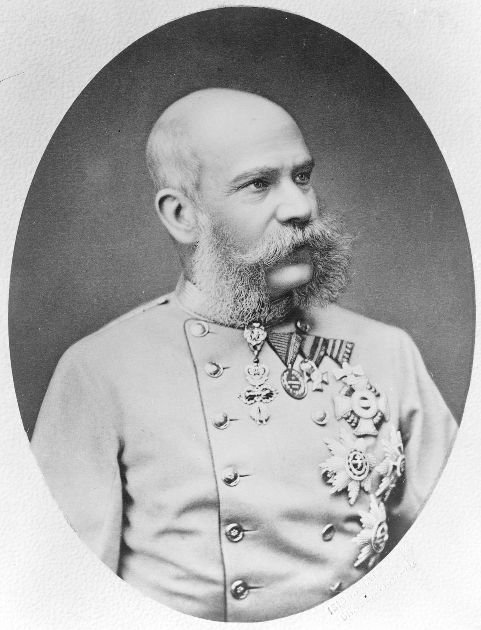  av Fritz Luckhardt