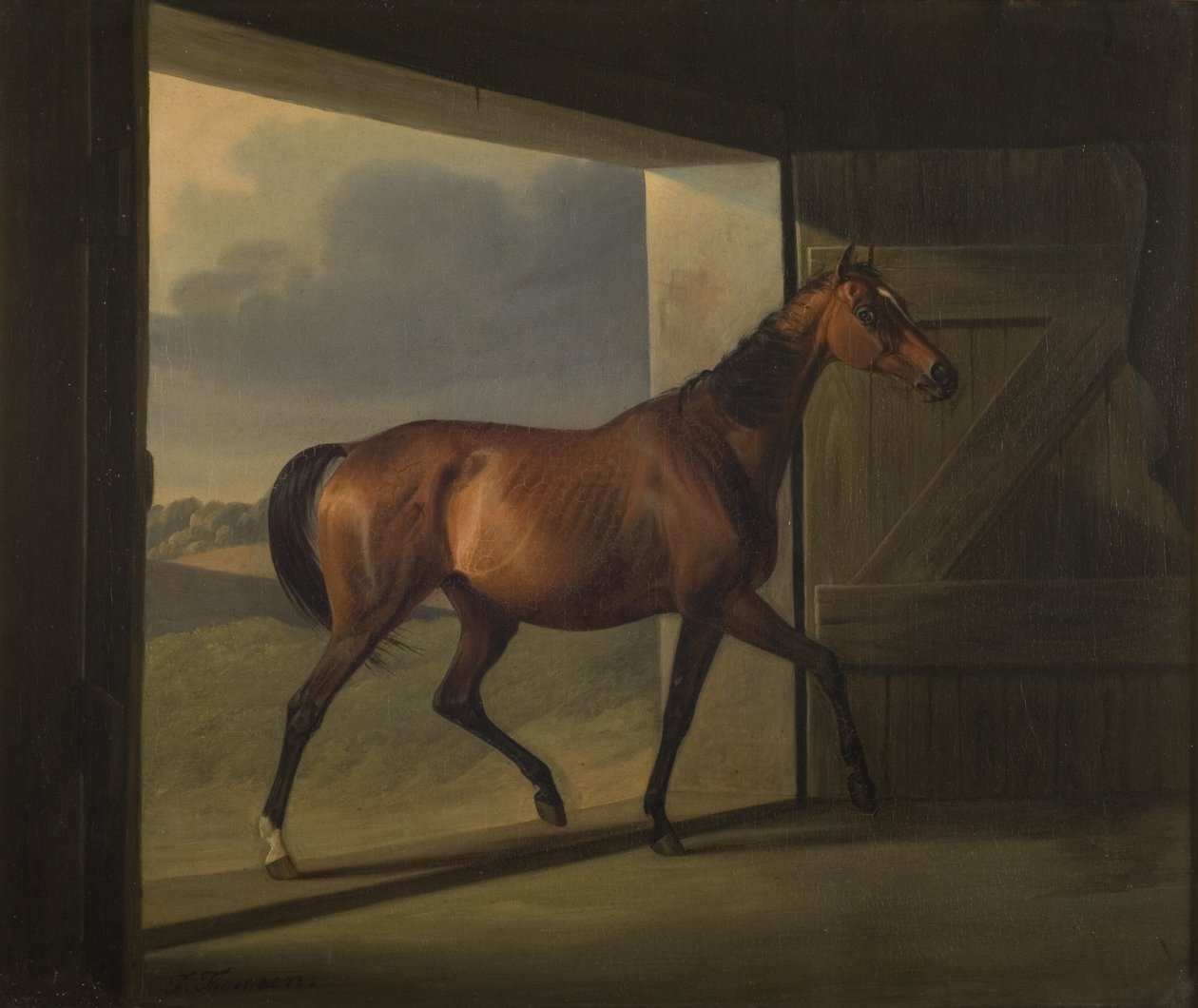 Jutta av Fritz Thomsen