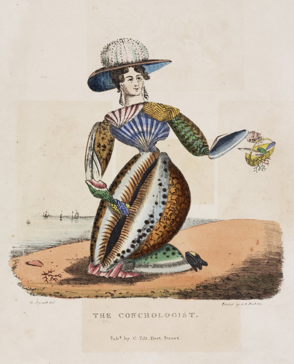 The Conchologist, ca. 1831 av G. Spratt