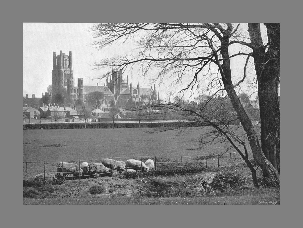 Ely katedral, ca 1900 av G. W. Wilson and Company