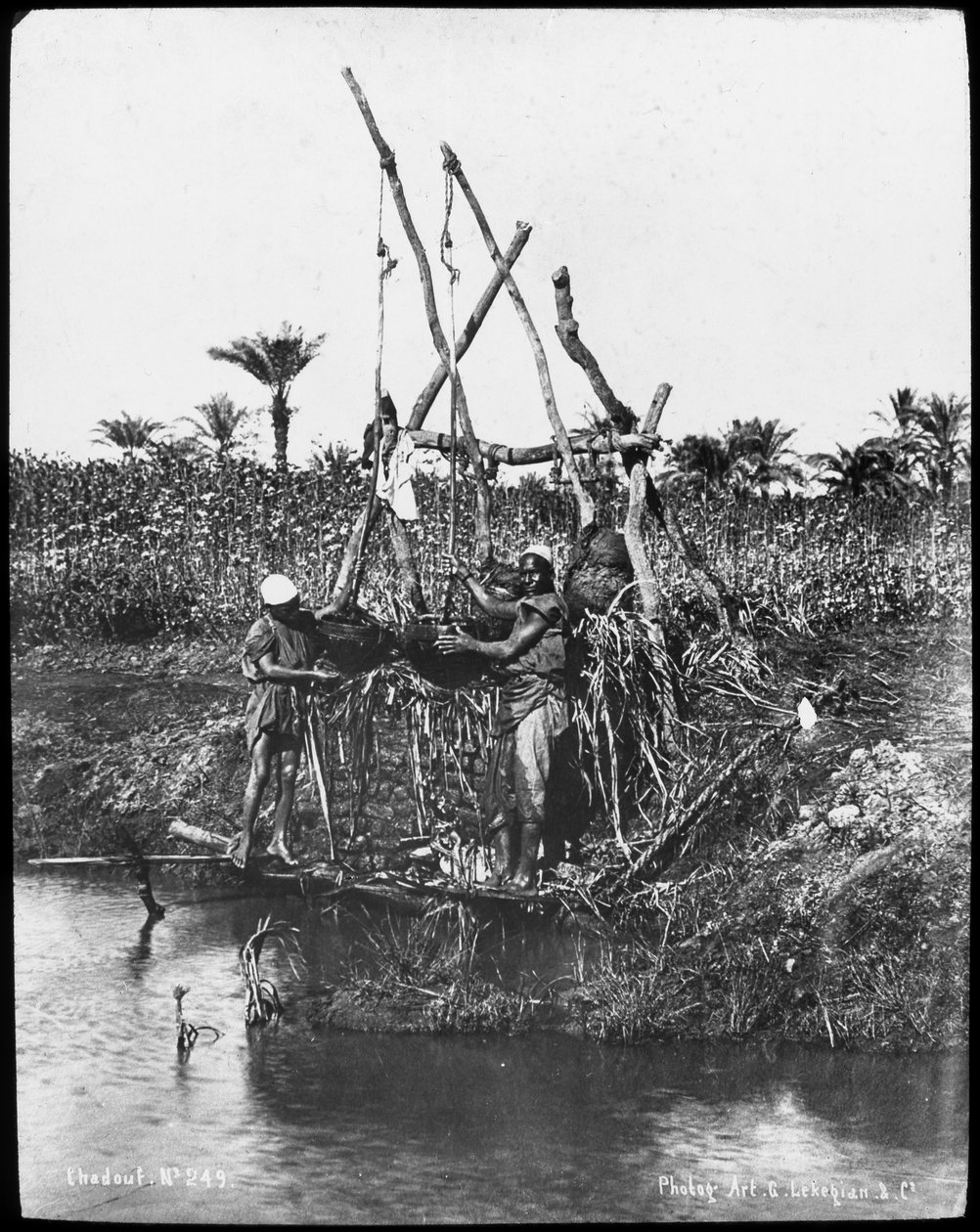 En shaduf på Nilen, Egypt, ca 1890 av Gabriel Lekegian