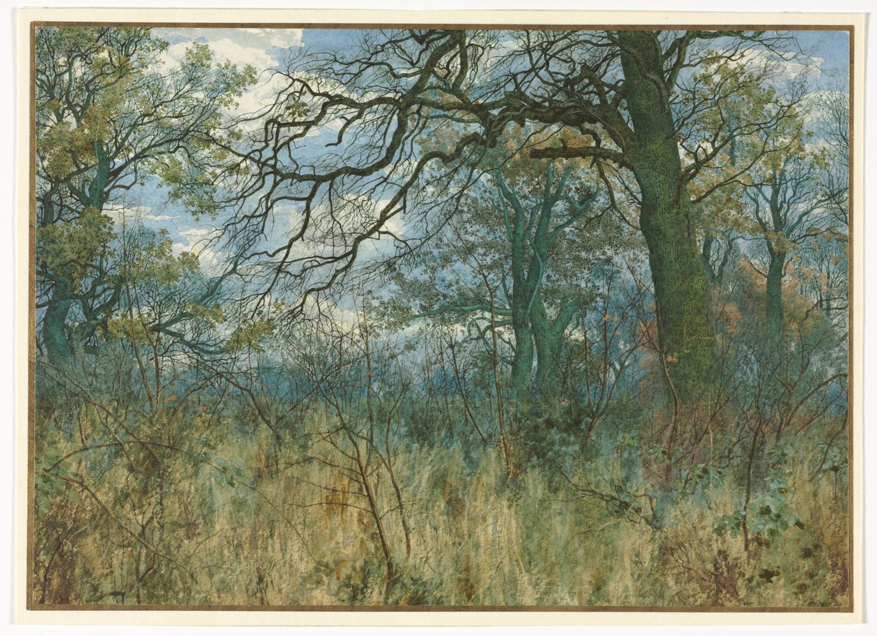Trær og undervekst, 1885. av Garden William Fraser