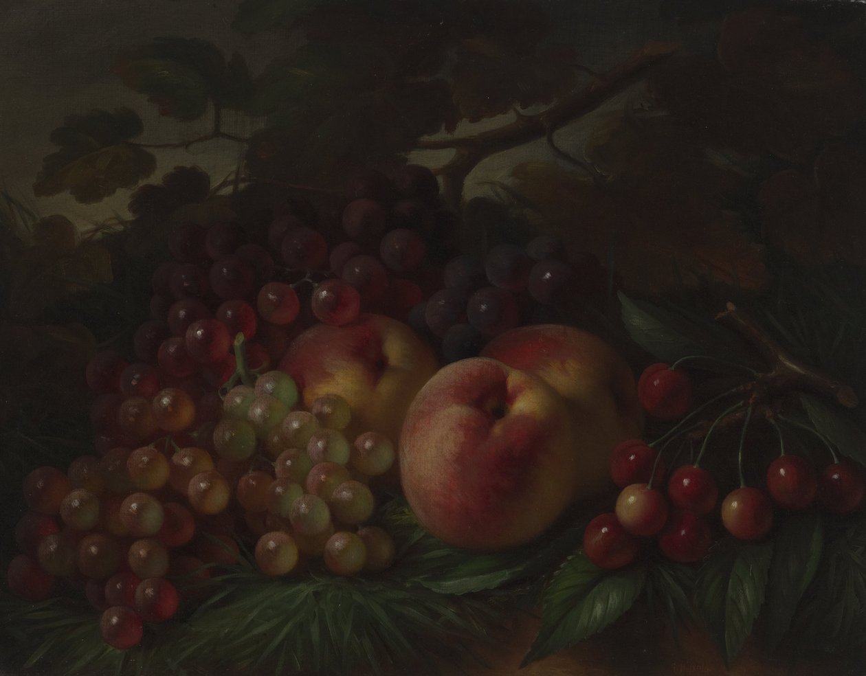 Fersken, druer og kirsebær av George Henry Hall