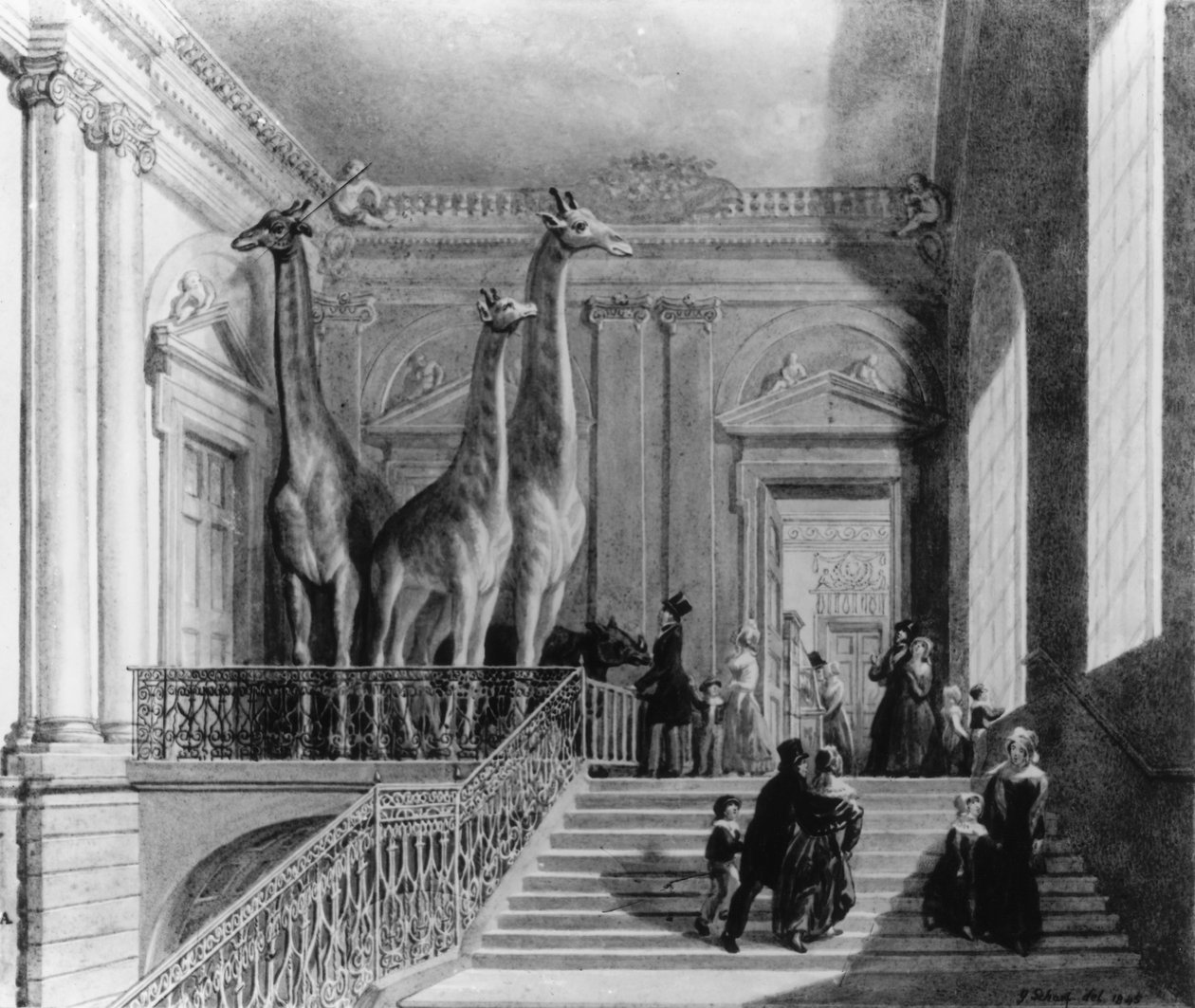 Sjiraffer på trappen i British Museum, 1845 (penn og blekk og wc på papir) av George Snr Scharf