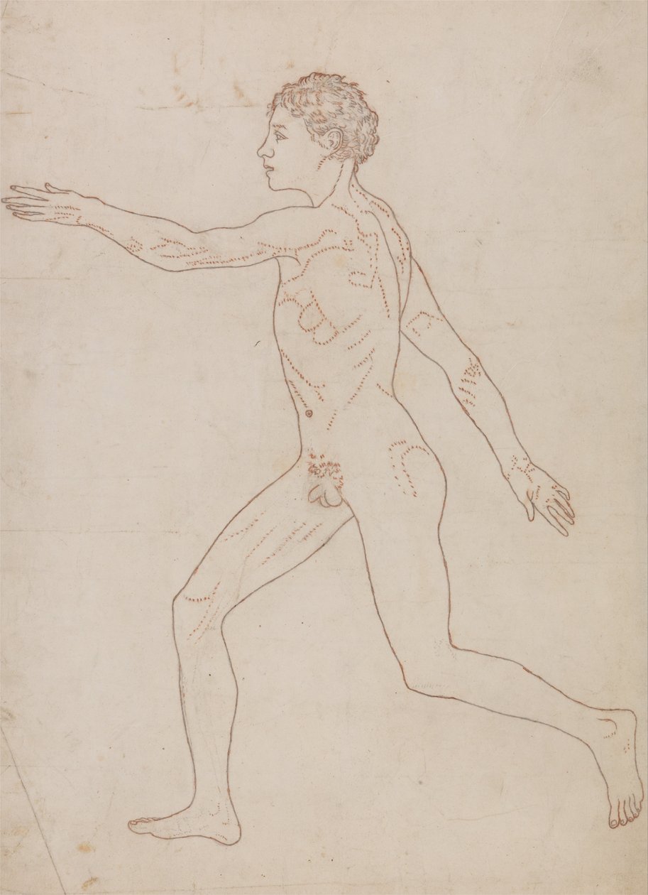 En komparativ anatomisk utstilling av menneskekroppens struktur med en tiger og en ... av George Stubbs