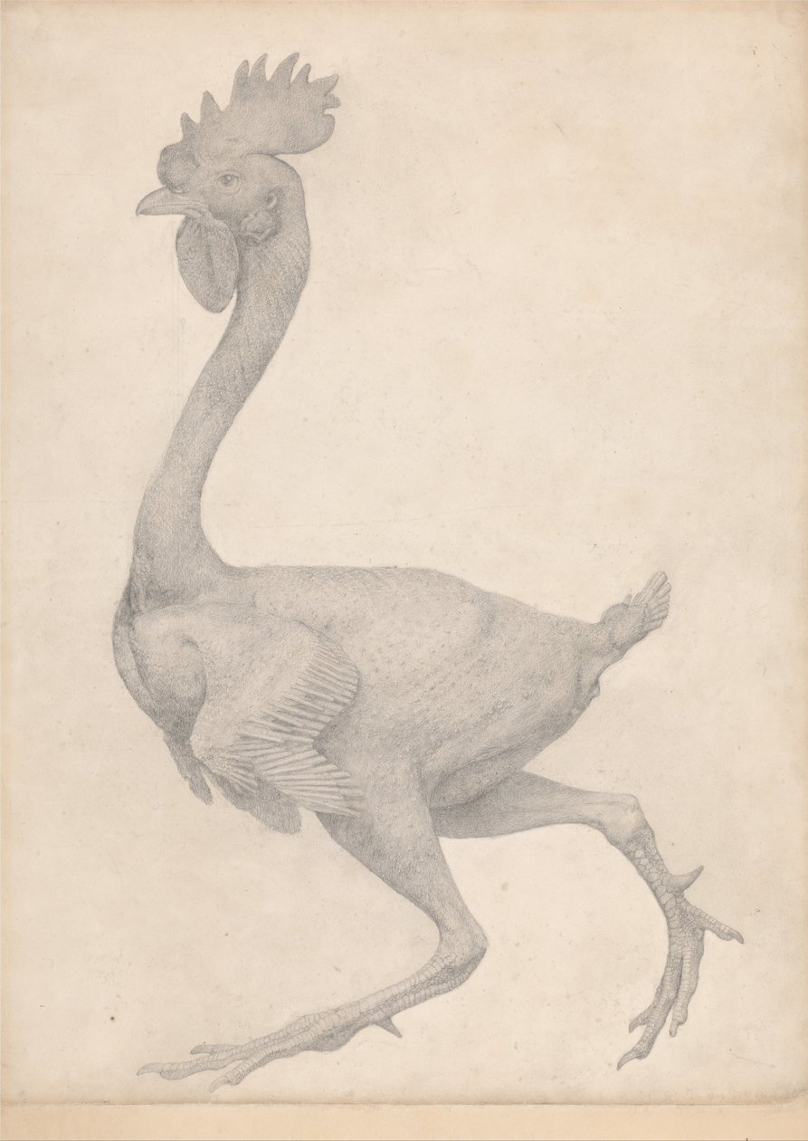 En komparativ anatomisk utstilling av menneskekroppens struktur med en tiger og en ... av George Stubbs