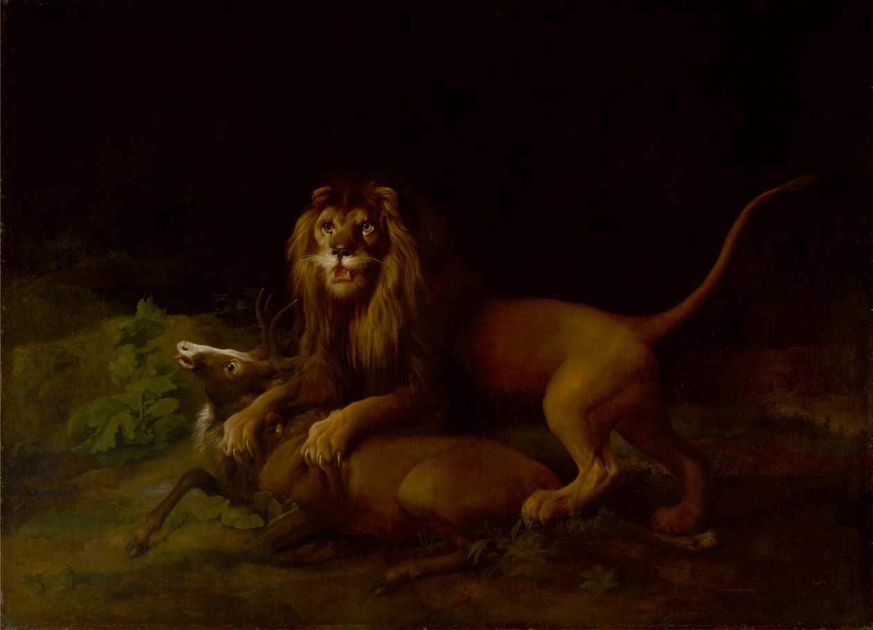 En løve som angriper en hjort av George Stubbs