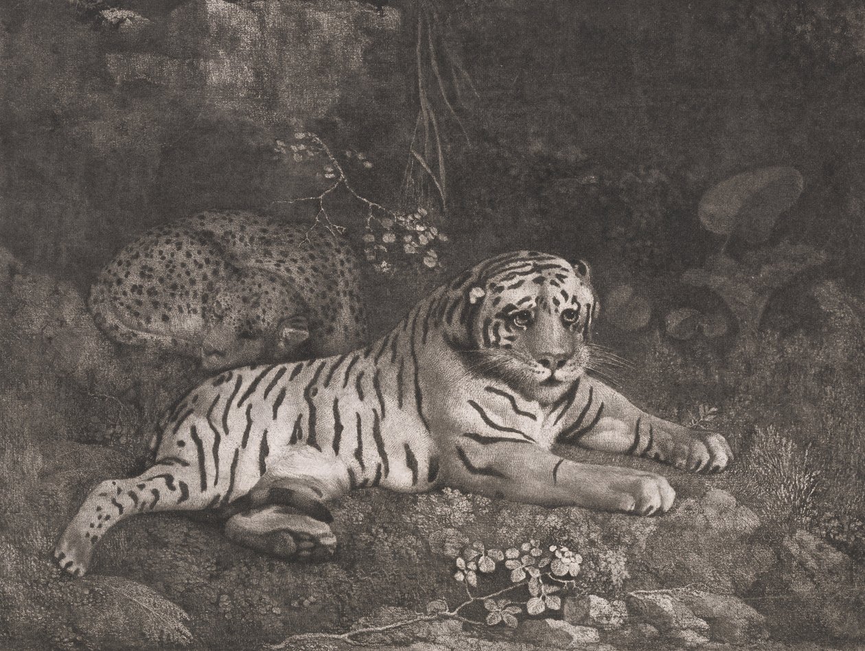 En tiger og en sovende leopard av George Stubbs