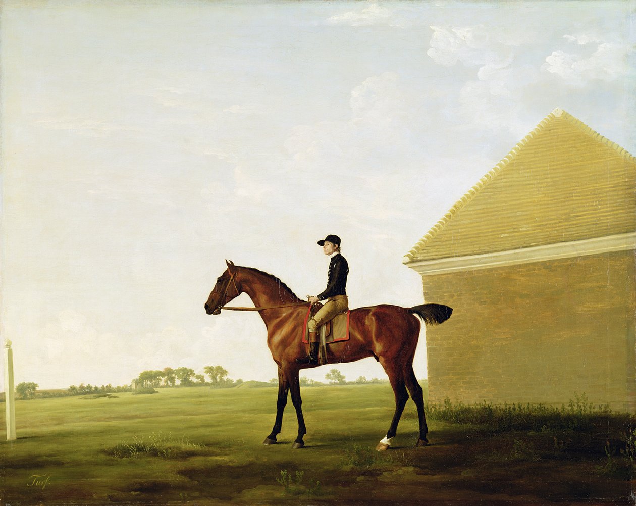 Turf, ca. 1765 (se 152743) av George Stubbs