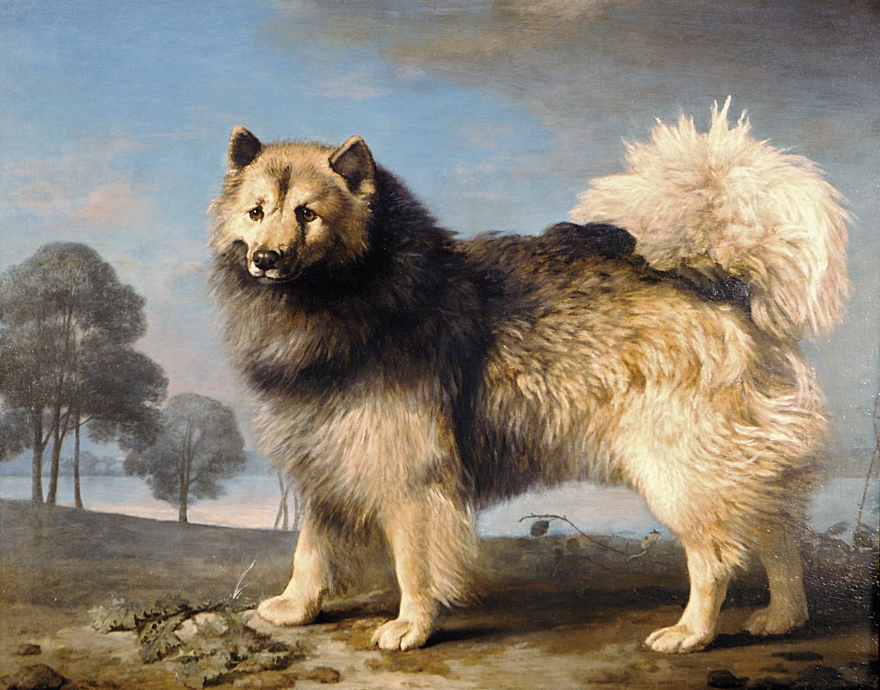 Turk, 1778 av George Stubbs