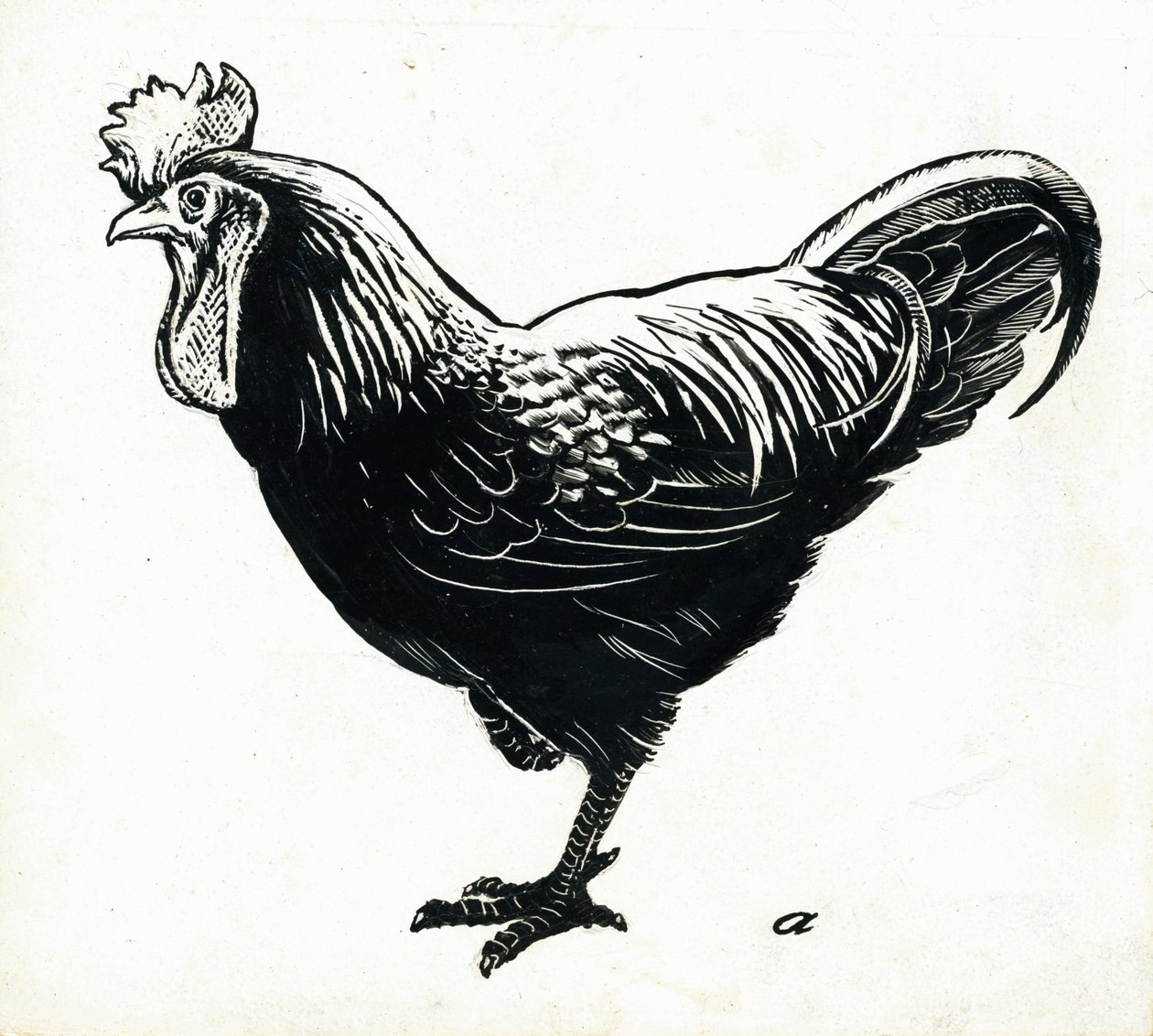The Hen, 1950-tallet (skrapebrett) av George Adamson