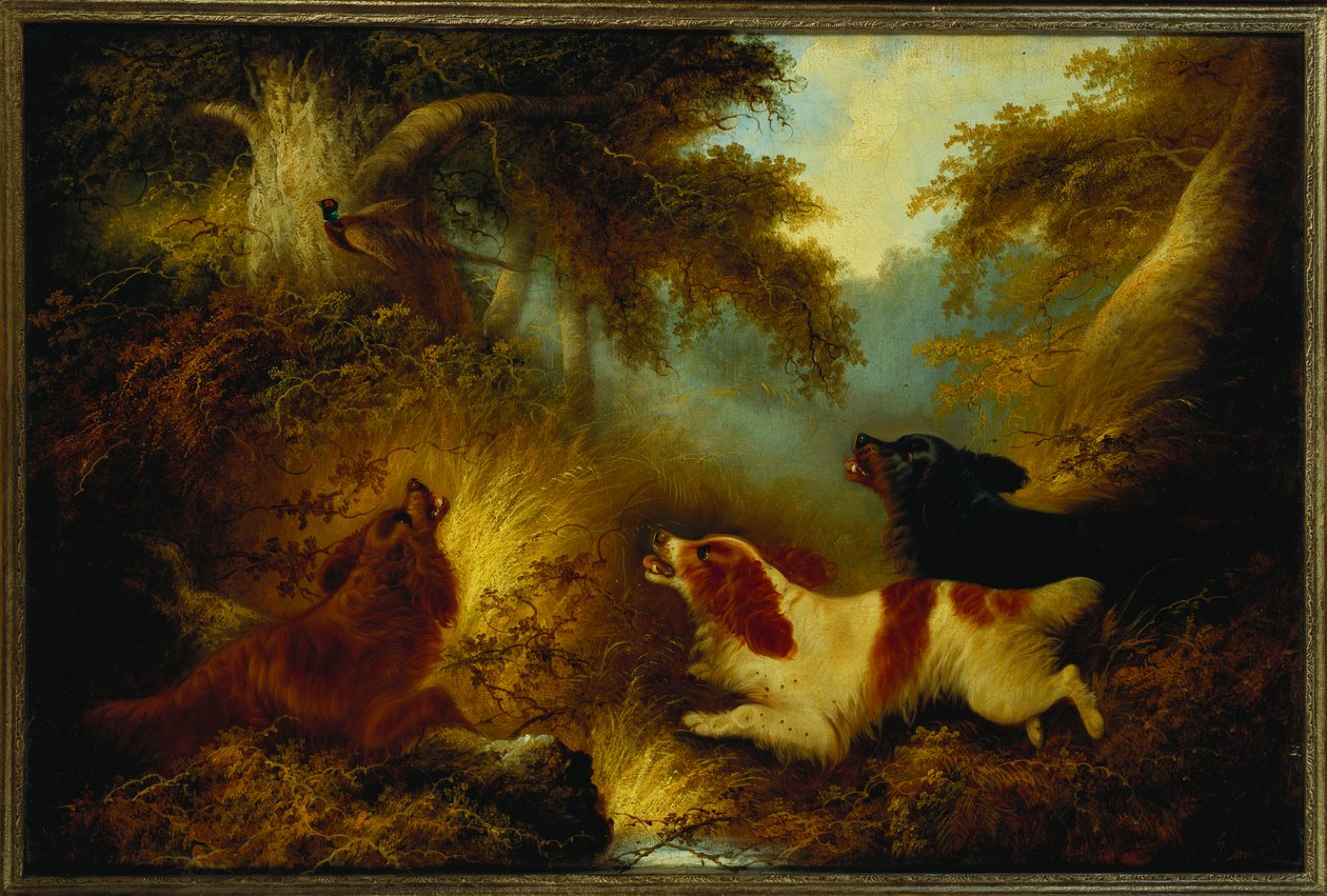 Spaniels setter opp en fasan av George Armfield