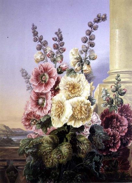 Stokroser (farge litho) av George Baxter