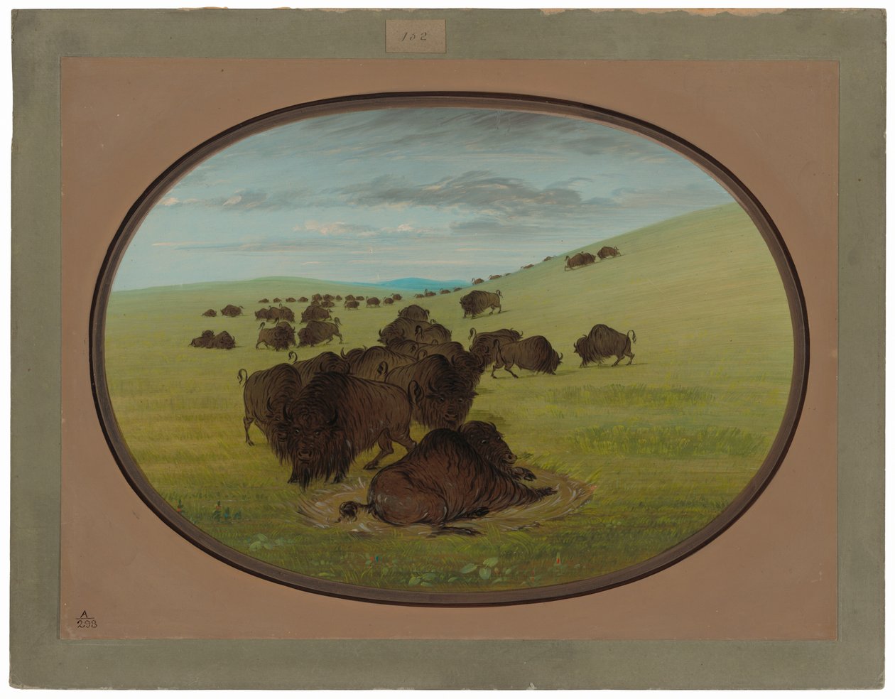 En bøffelvalk av George Catlin