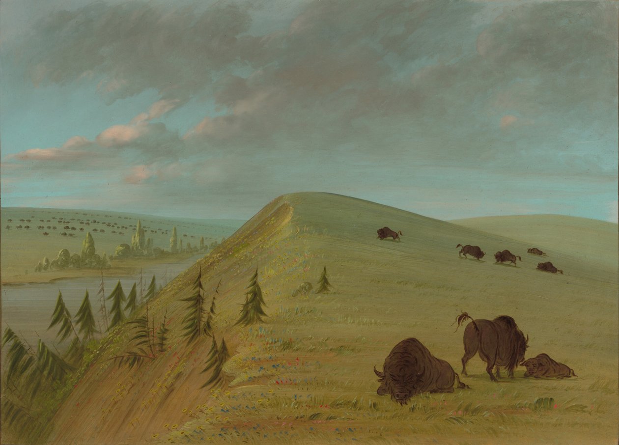 Cedar Bluffs, 18611869. av George Catlin