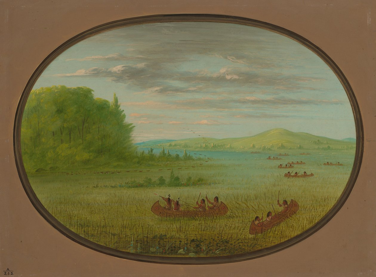 Samler villris - Winnebago, 18611869. av George Catlin