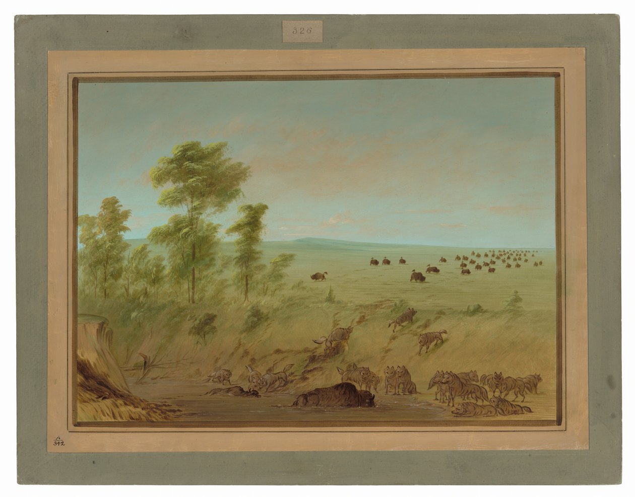 Mired Buffalo og Wolves av George Catlin