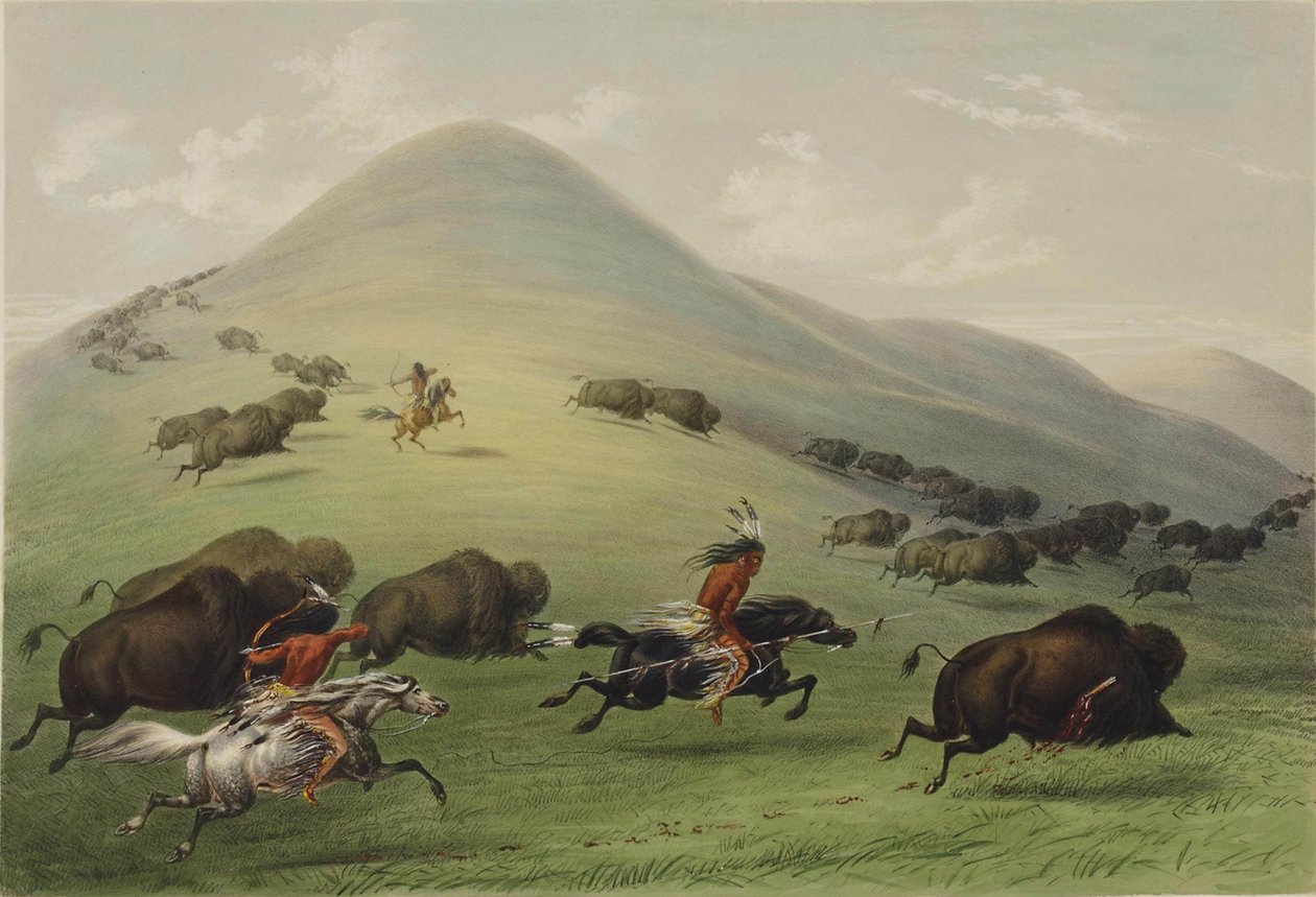 Bøffeljakten av George Catlin