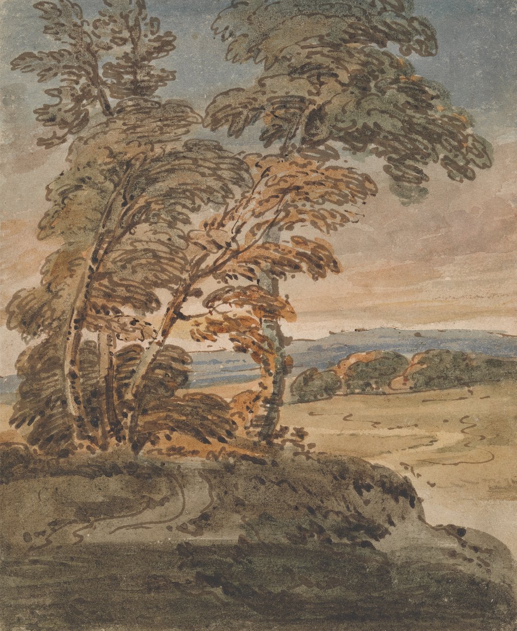Trær på en åsside av George Chinnery