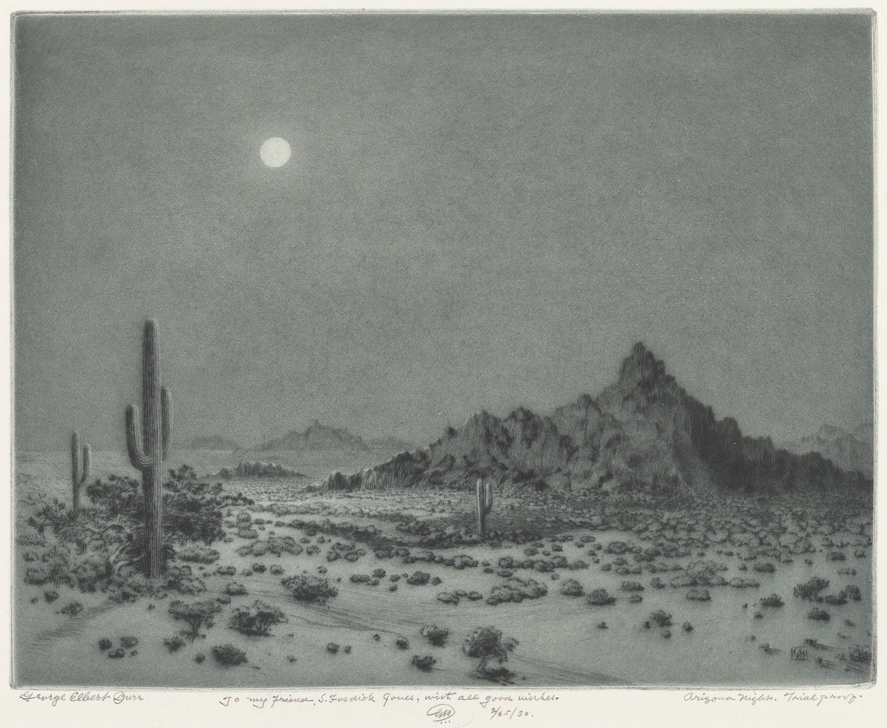 Arizona natt av George Elbert Burr