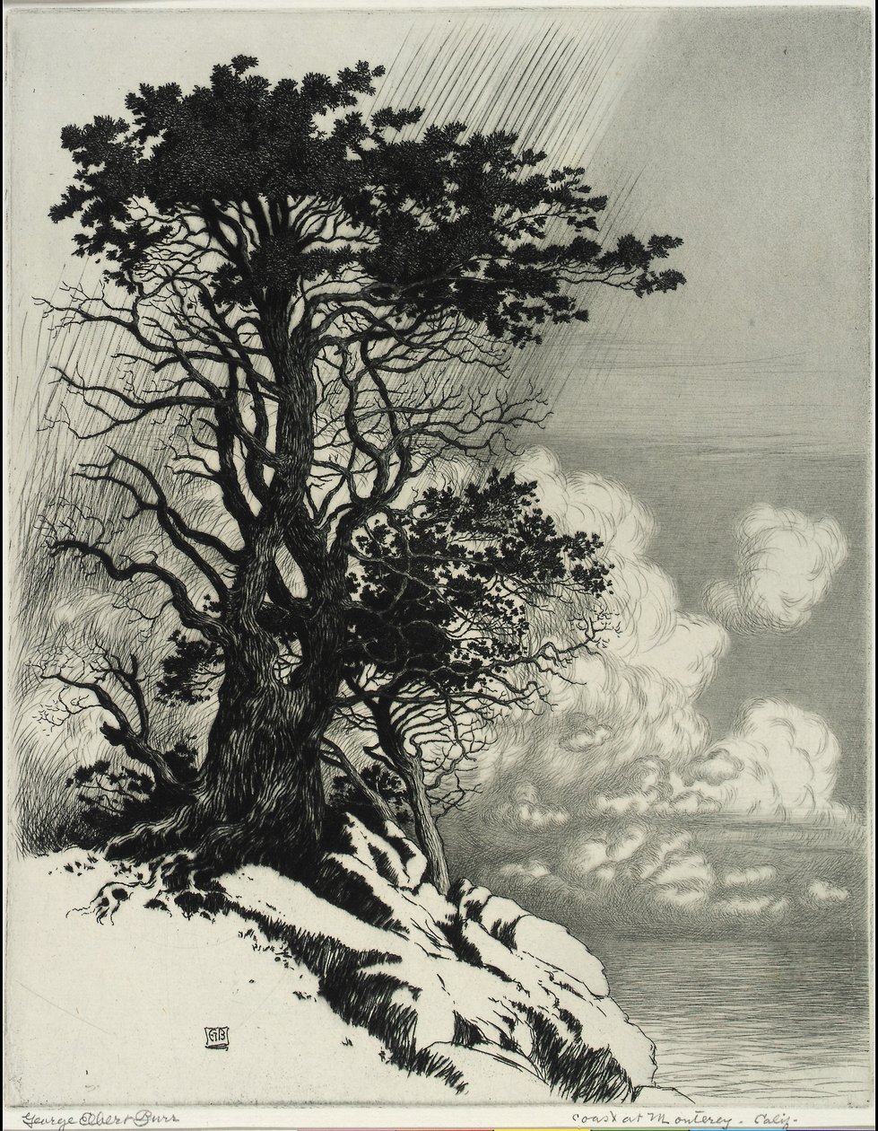  av George Elbert Burr