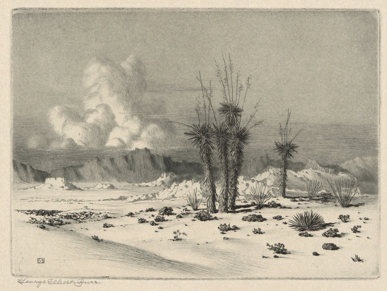 Kveld, Arizona av George Elbert Burr