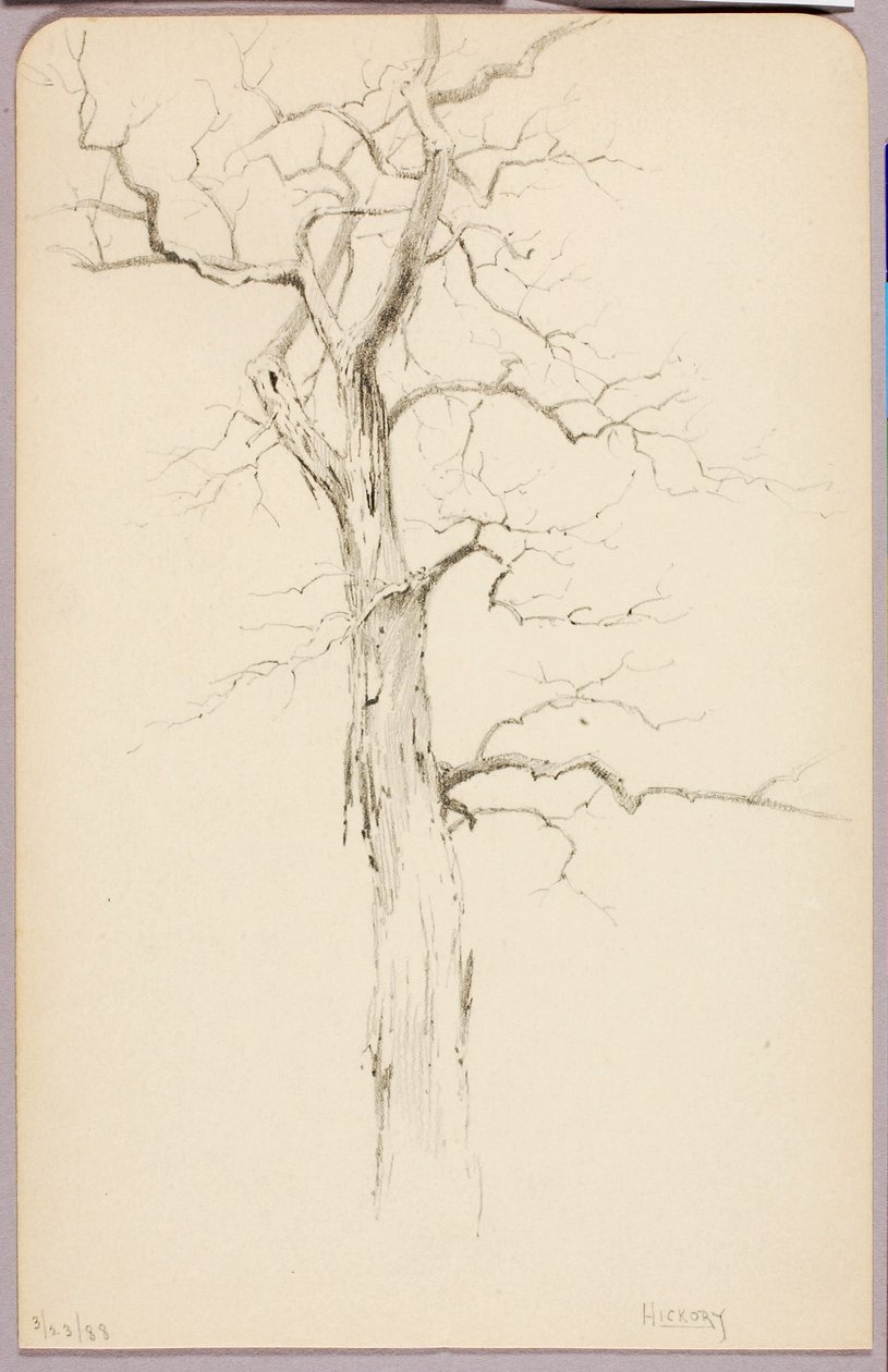  av George Elbert Burr