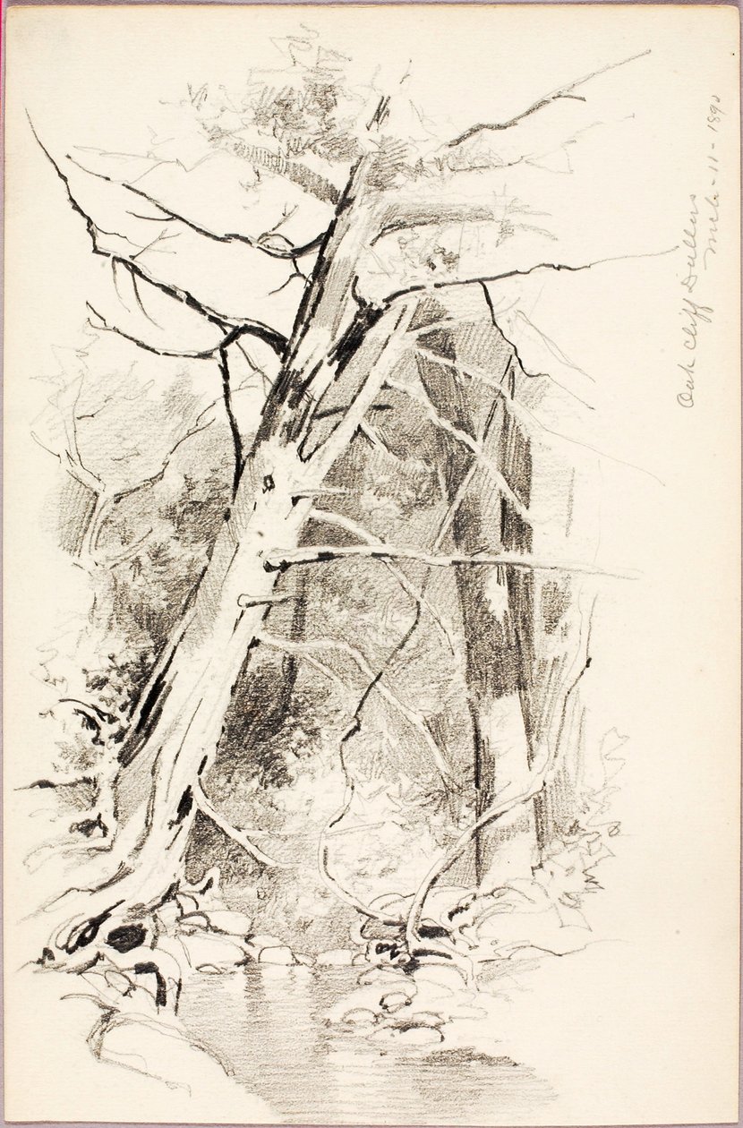  av George Elbert Burr