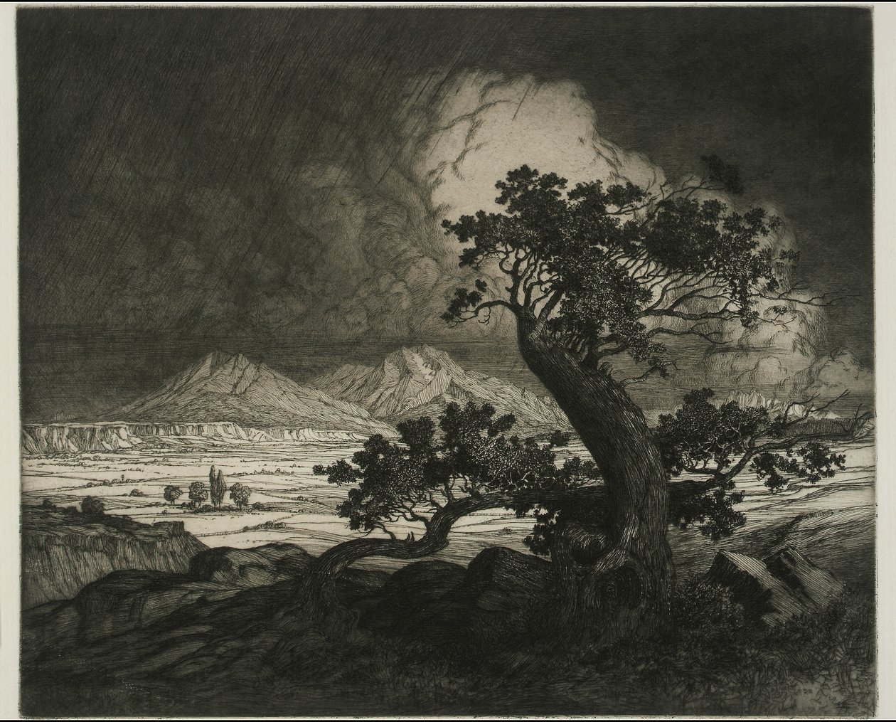  av George Elbert Burr