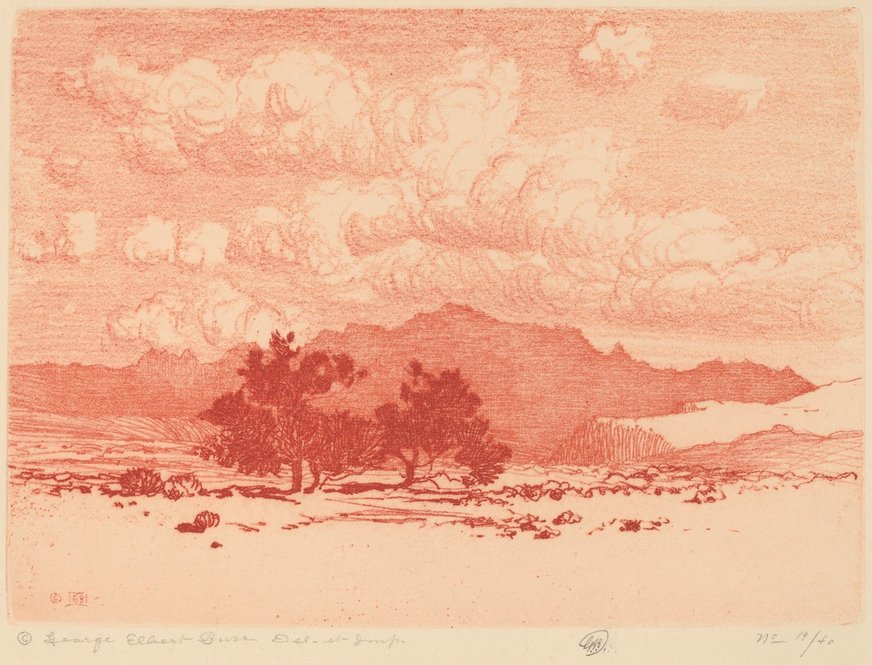 Palo Verde trær av George Elbert Burr