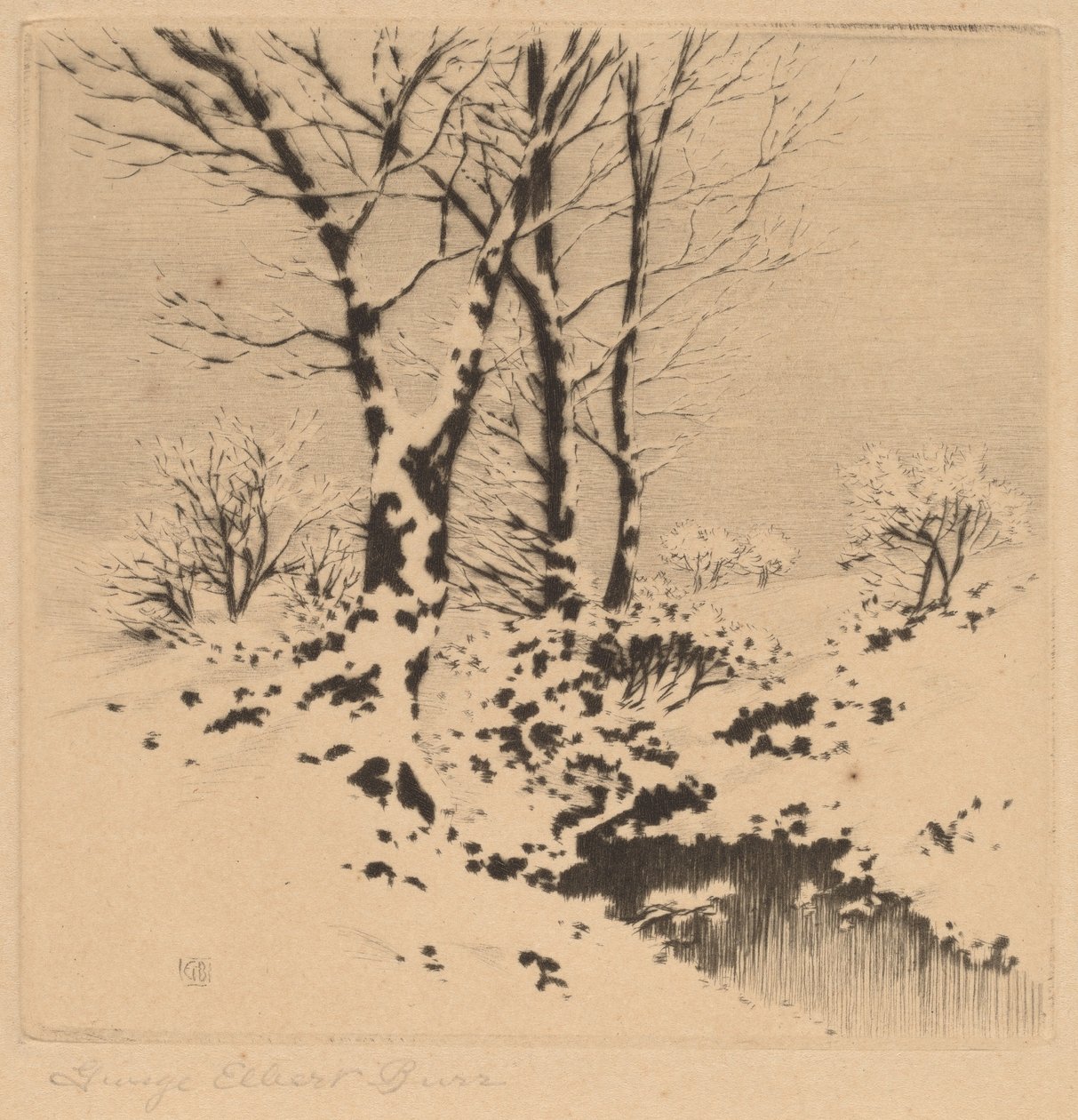 Snø av George Elbert Burr