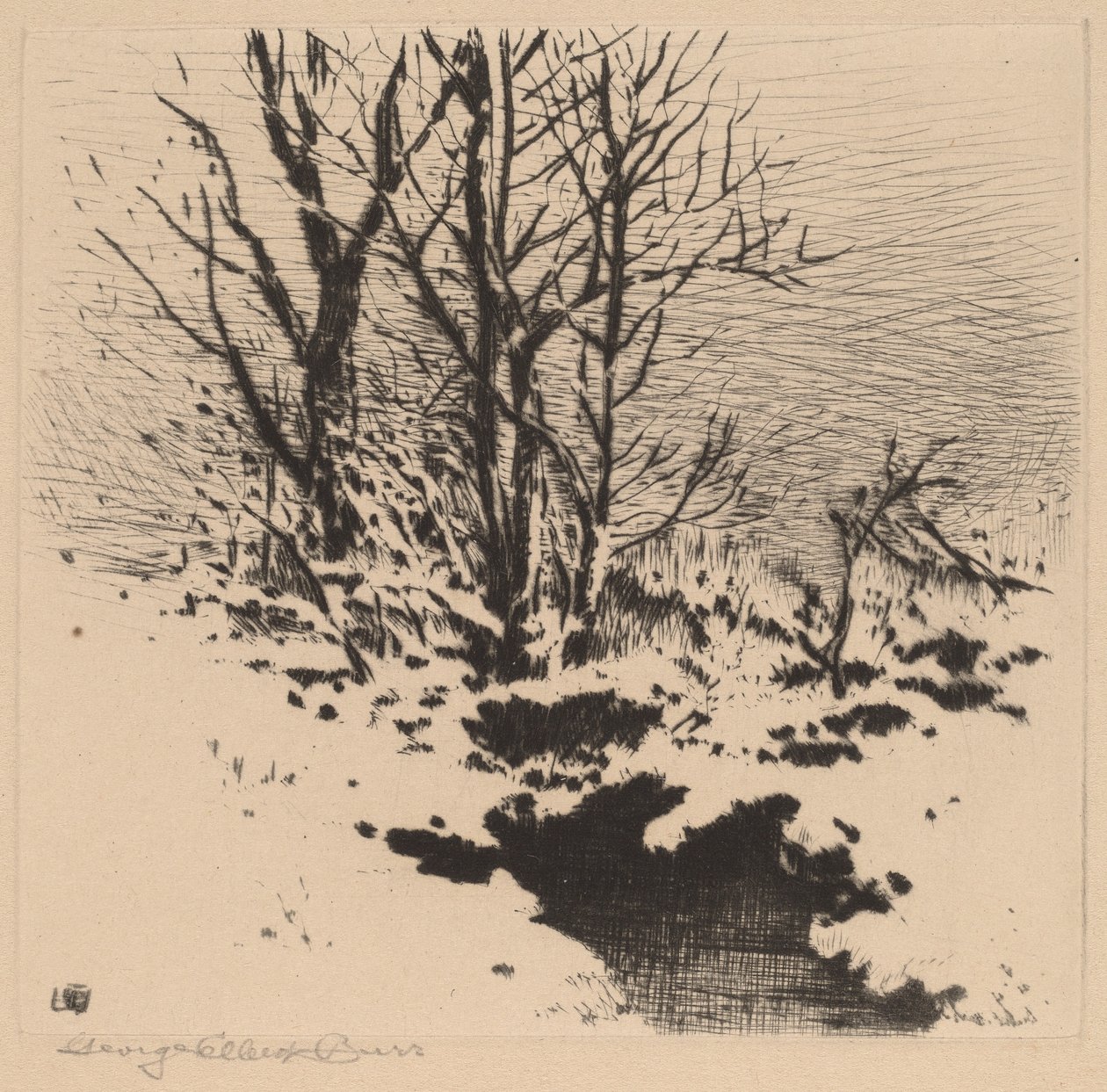 Den første snøen (nr.2) av George Elbert Burr