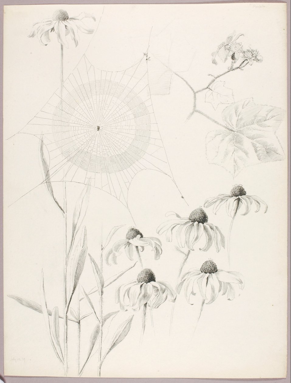  av George Elbert Burr
