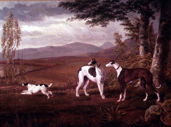 Greyhounds i et landskap av George Garrard