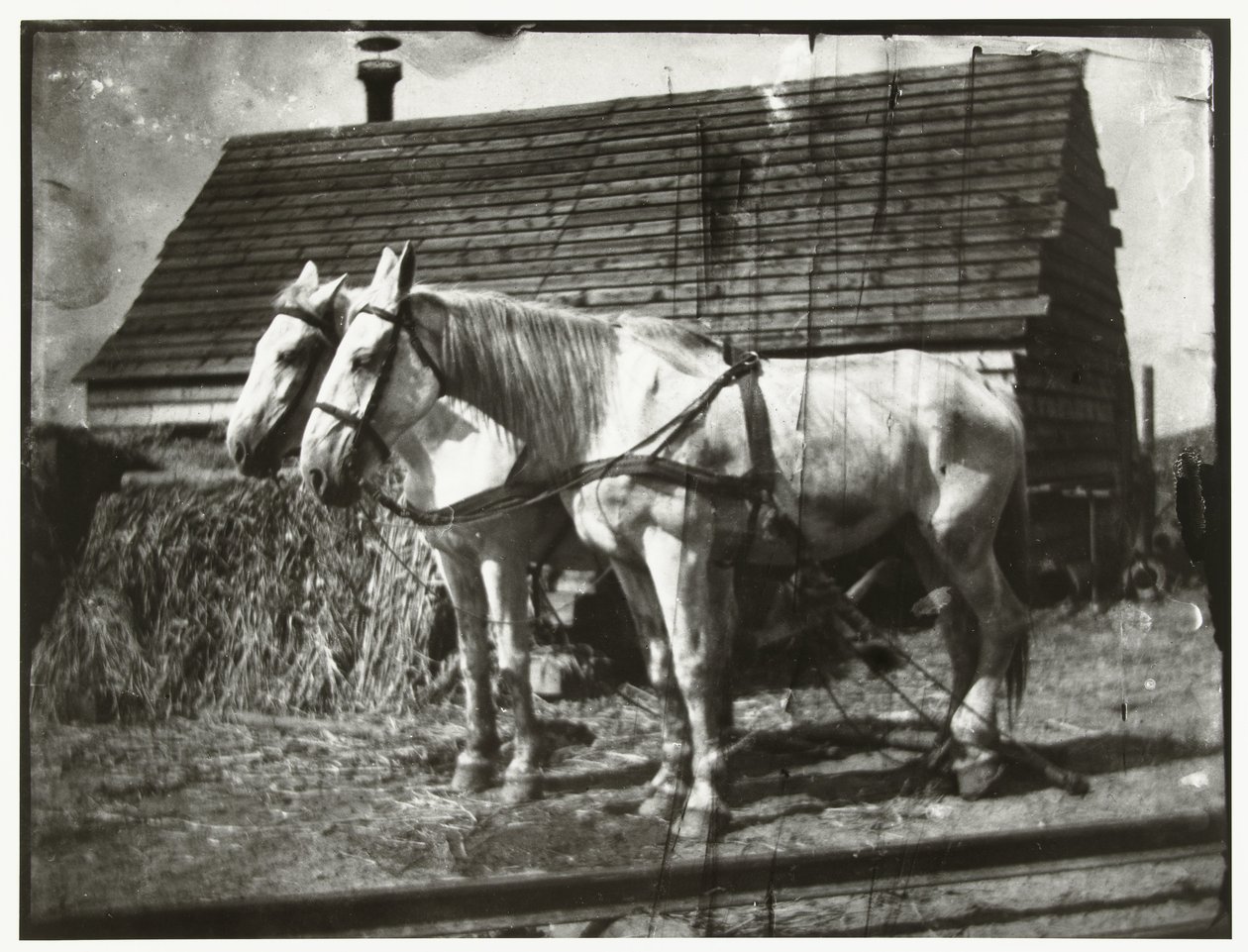 Hester ved Cruquiusweg av George Hendrik Breitner