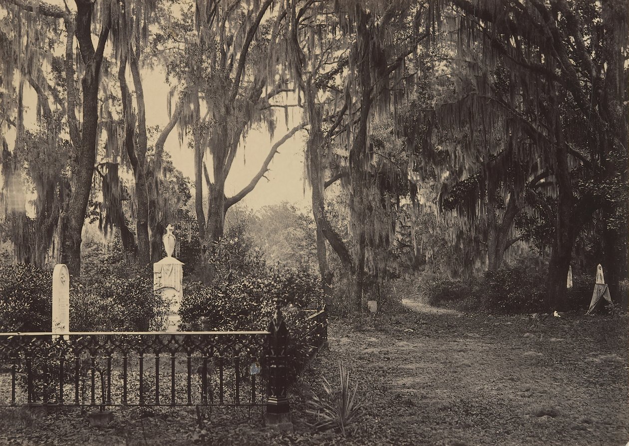 Bonaventure, Savannah, Georgia, 1860-tallet. av George N. Barnard