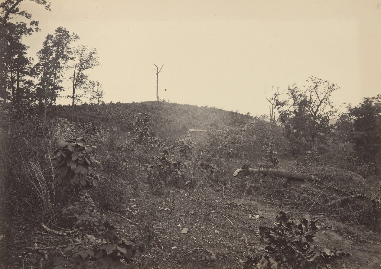 Pine Mountain, 1860-tallet. av George N. Barnard