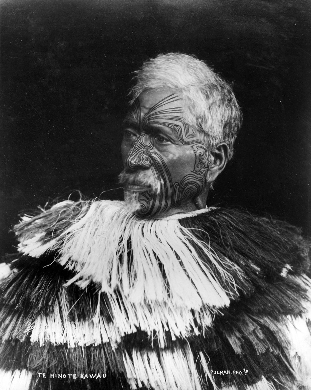 Skarvsynoden, ca. 1860-71 av George Pulman