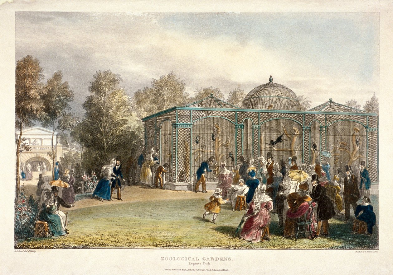 Zoological Gardens, Regent