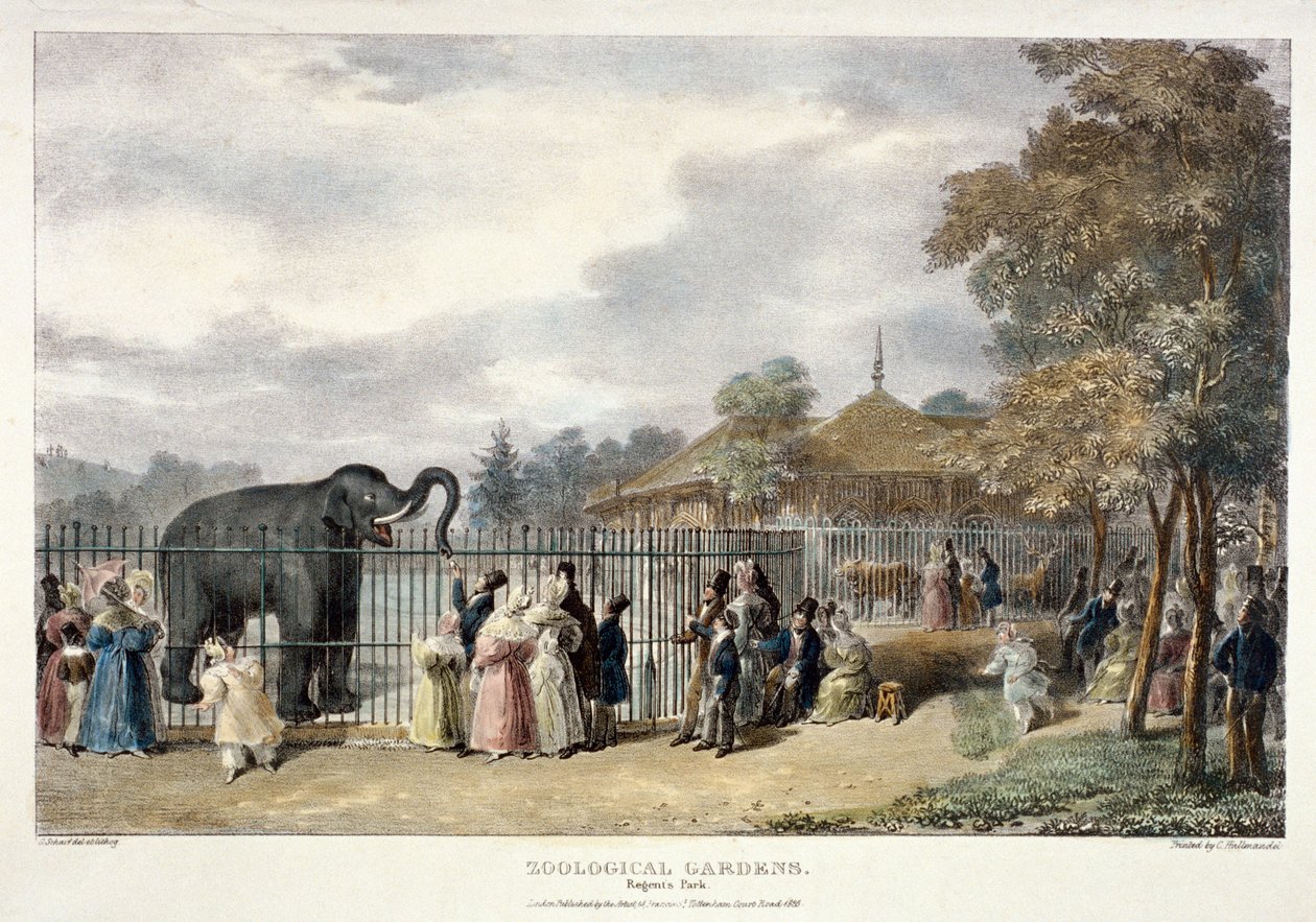 Zoological Gardens, Regent's Park, London, 1835. av George Scharf