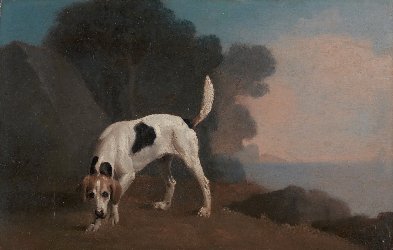 Foxhound, Foxhound on the Scent, ca. 1760. av George Stubbs
