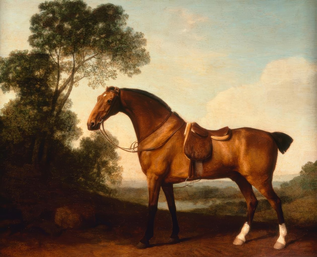 G. Stubbs, A Saddled Bay Hunter av George Stubbs