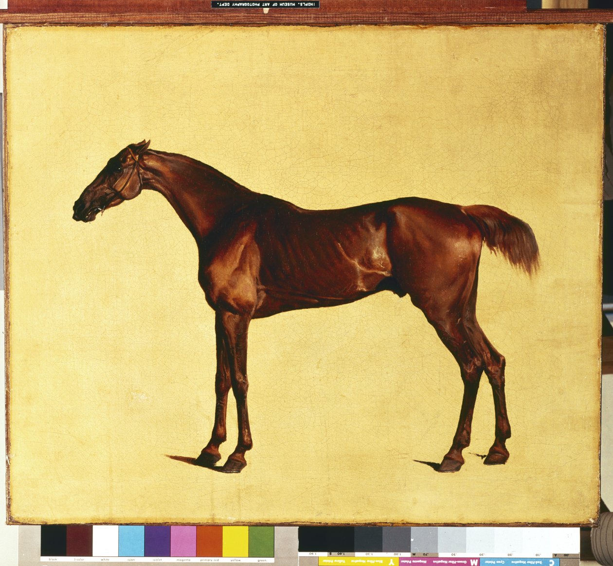 Pangloss (olje på lerret) av George Stubbs