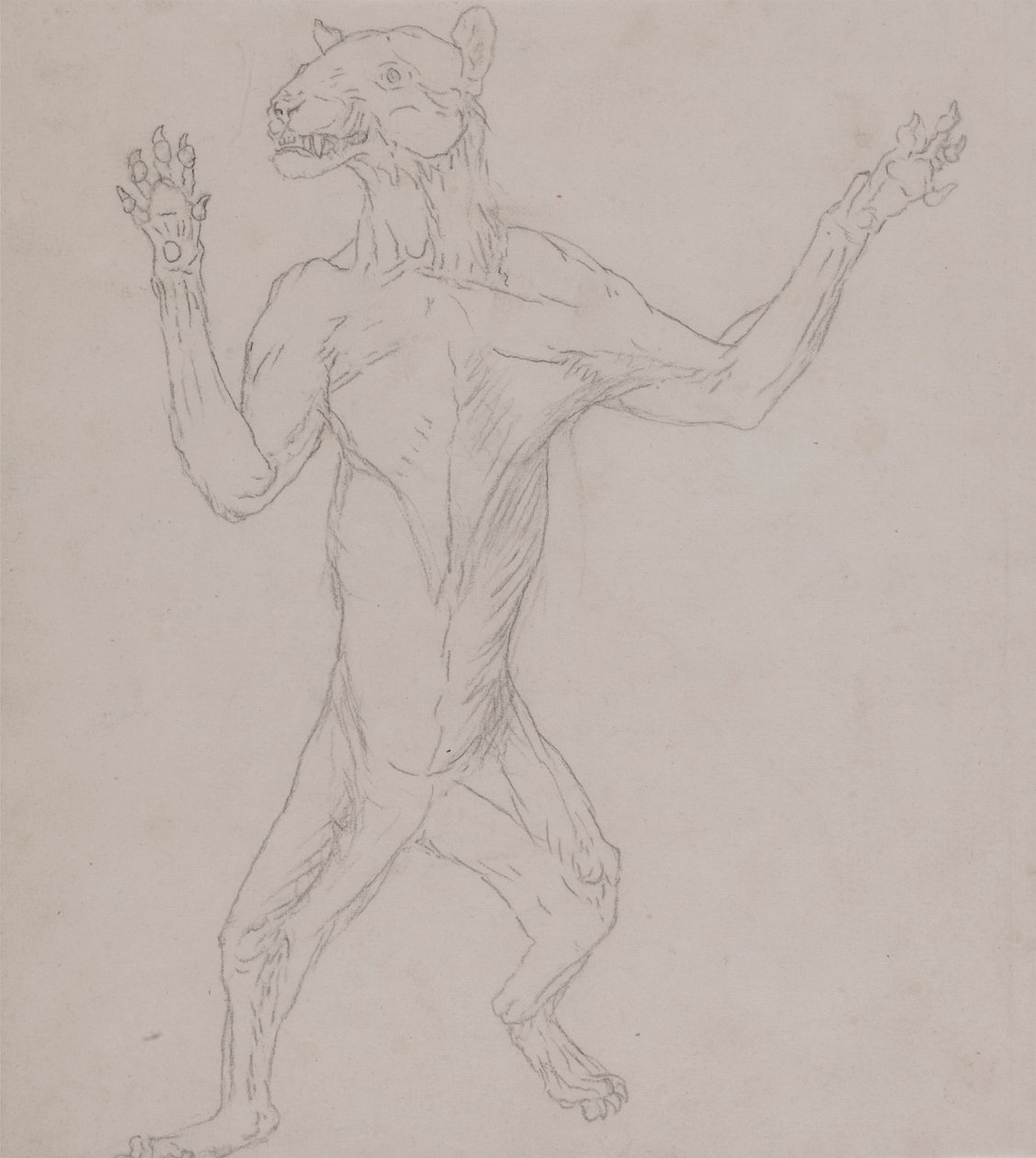 Tigerkropp, stående i menneskelig holdning av George Stubbs