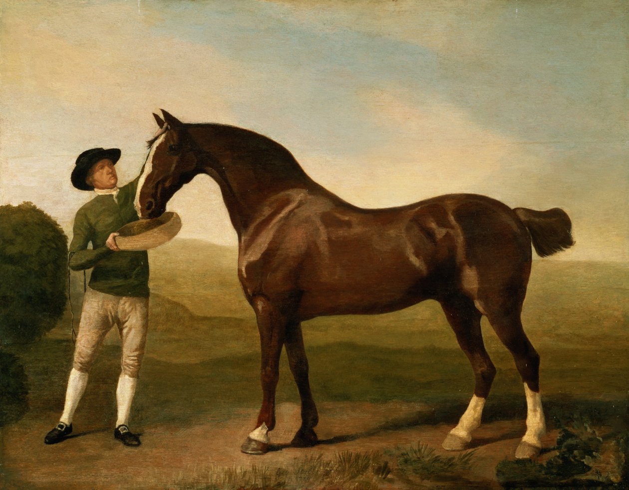 Ukjent bilde av George Stubbs