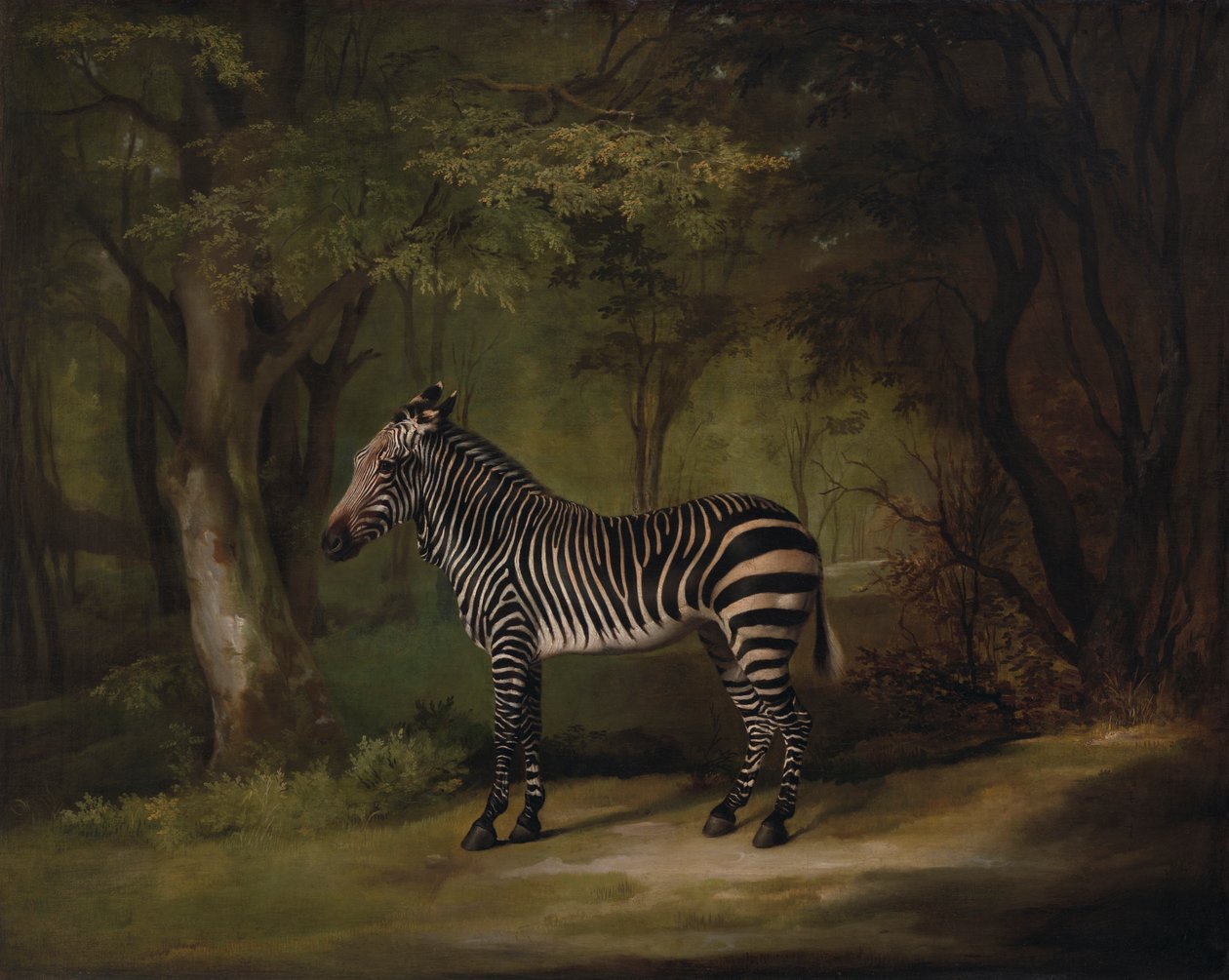 Sebra av George Stubbs