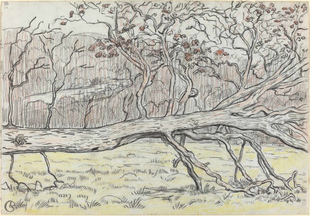 Feltet tre, Normandie av Georges Lacombe
