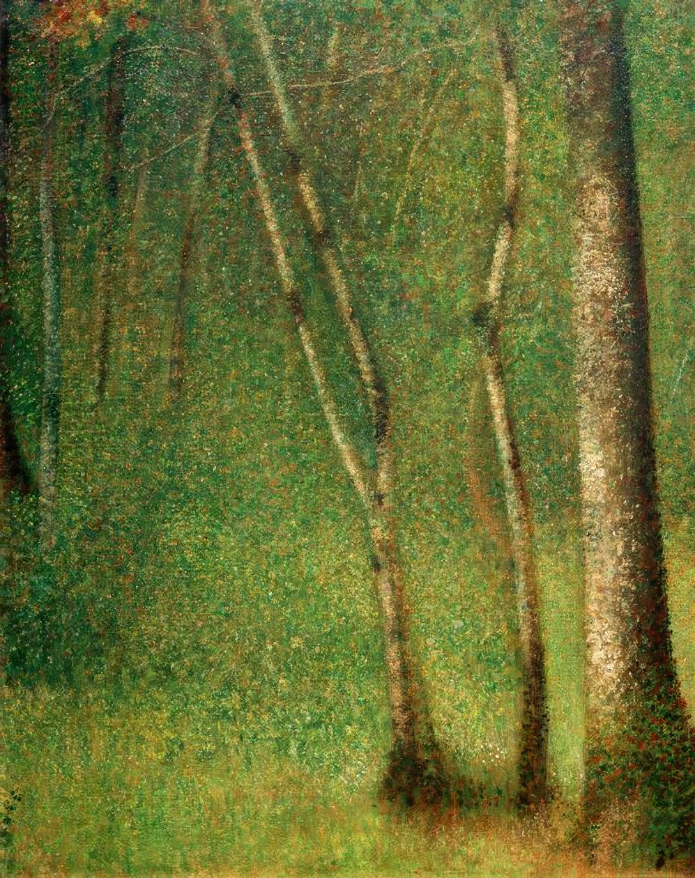 Underskog i Pontaubert (Wald i Pontaubert) av Georges Seurat