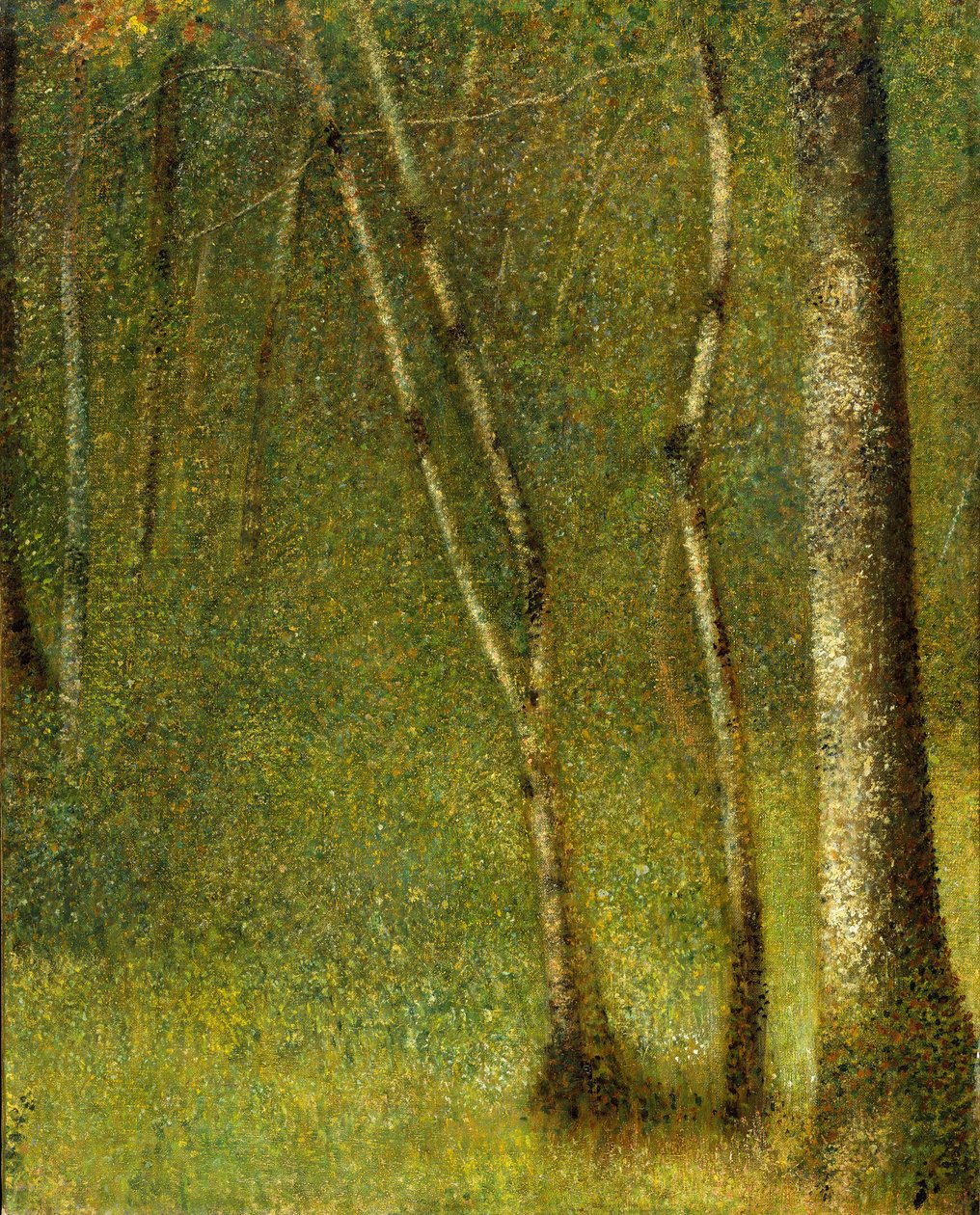 Skogen ved Pontaubert, 1881 av Georges Seurat