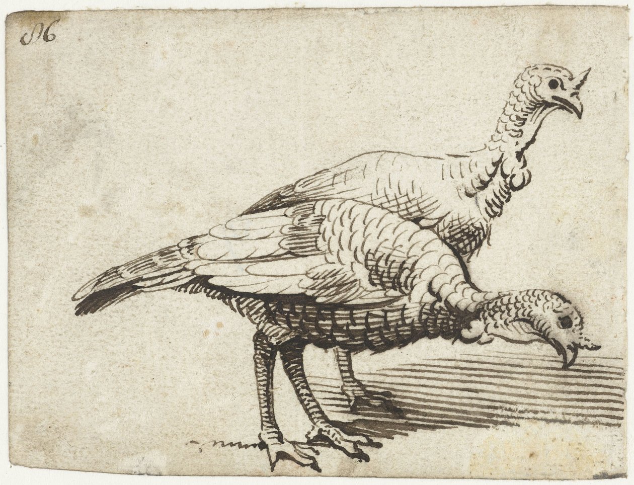 To kalkuner av Gerard ter Borch (I)